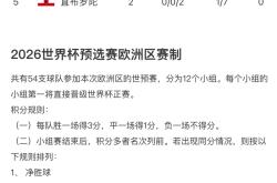 女子足球世界杯预选赛结果争议不断的简单介绍